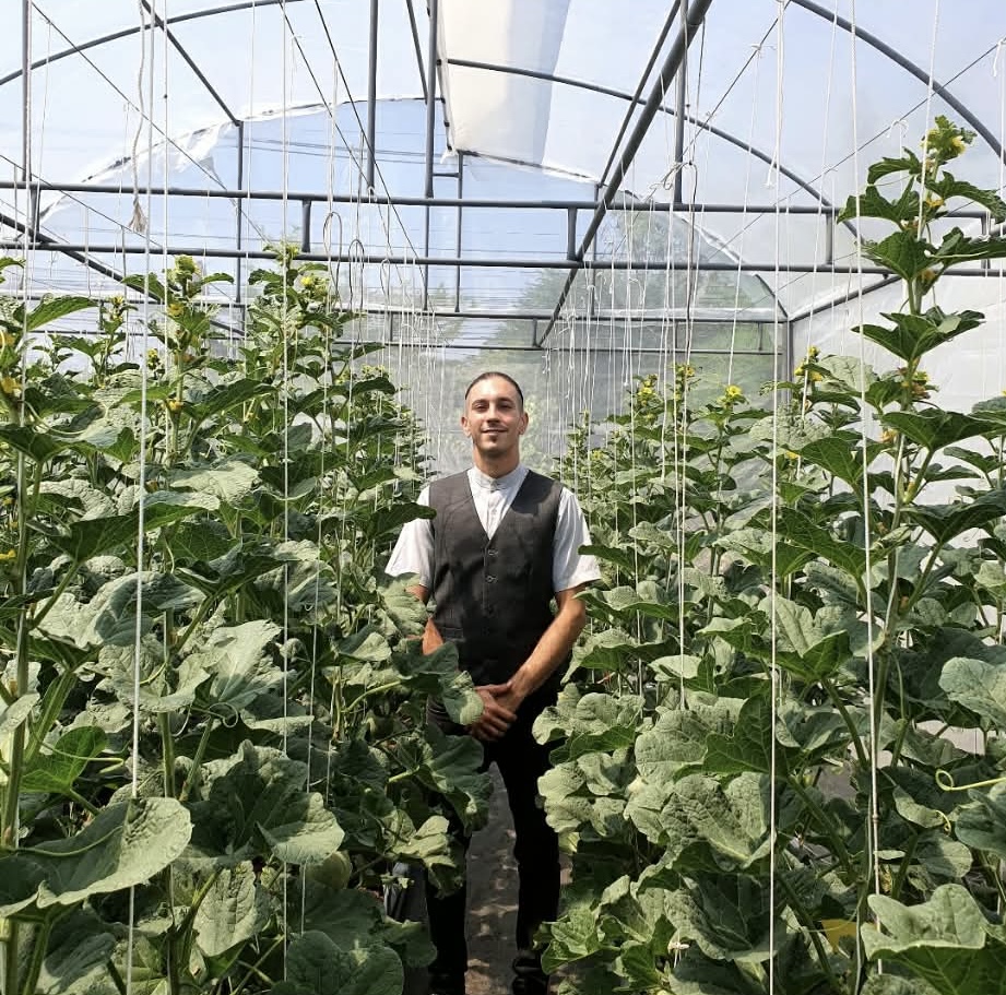 Standing in a tropical growing tunnel